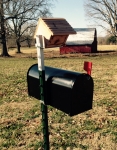 Mail Box & Bird House