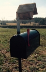 Bird House Mail Box???